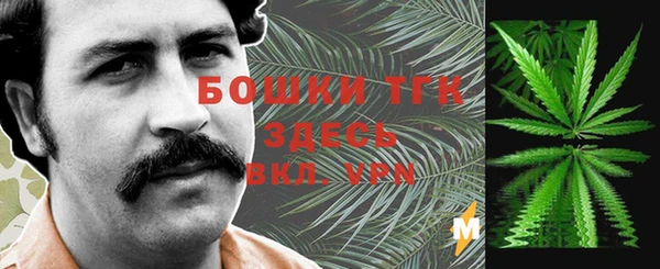 дурь Алексин