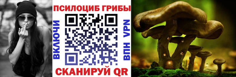 Галлюциногенные грибы мицелий  Болхов 