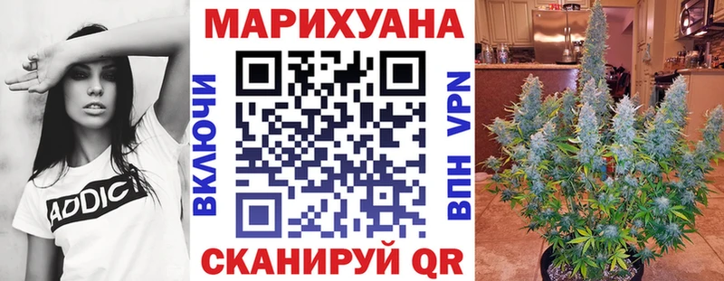 Бошки марихуана конопля  купить наркоту  Болхов 